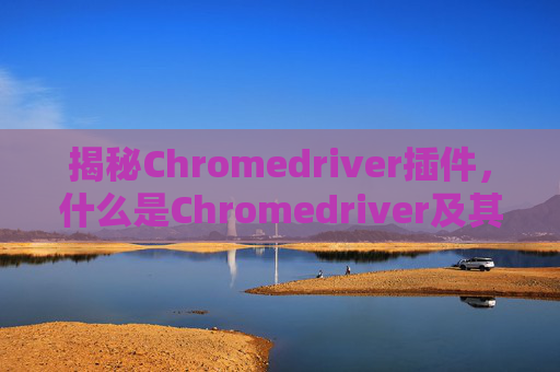 揭秘Chromedriver插件,什么是Chromedriver及其作用 揭秘Chromedriver插件,什么是Chromedriver及其作用